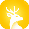 FawnTrans